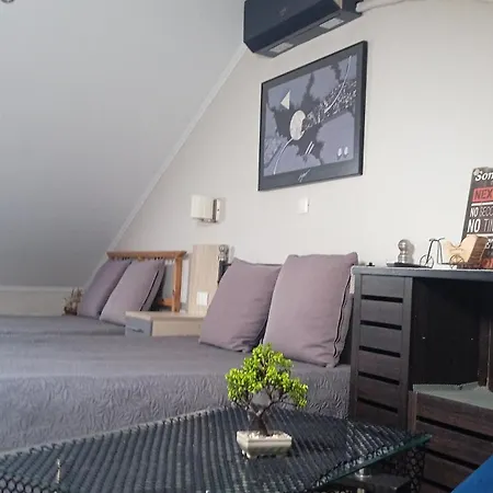 Roses Apartment *