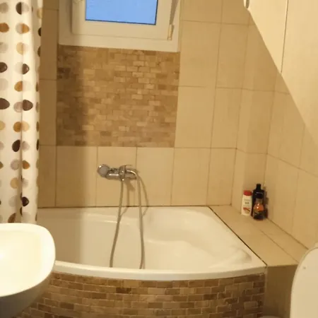 アパート Roses ネア・ミカニオーナ