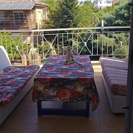 Apartment Roses