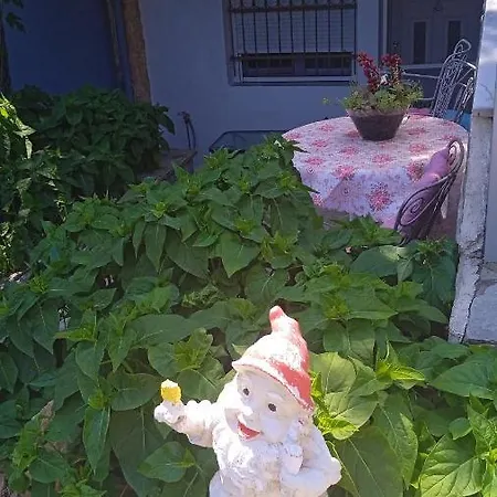 Roses Nea Michaniona