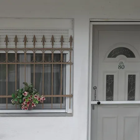 Roses * Nea Michaniona