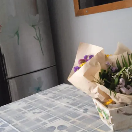 Roses Apartment Nea Michaniona