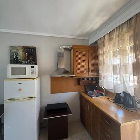 Roses Apartment Nea Michaniona